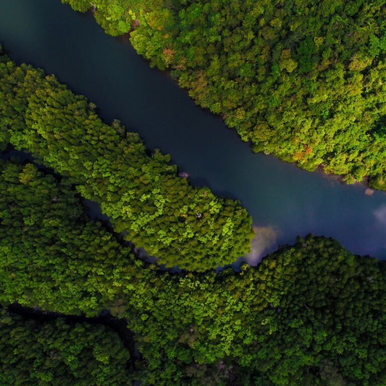 Our commitment to environment goes beyond forests and rivers such as the ones in this image.